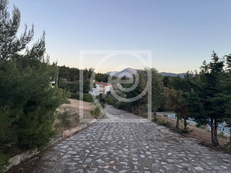 property-img