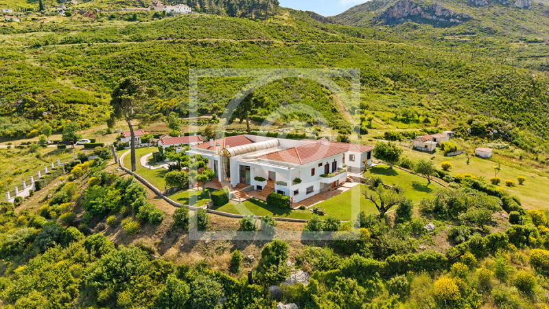 property-img